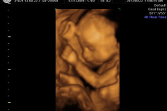 338930435_1274962683427129_920485510316085093_n